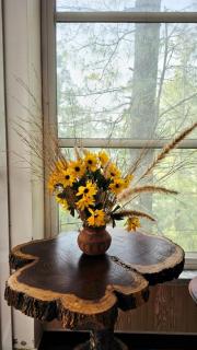 Nathia Lodge One Bedroom Mountain View Apartment - 0