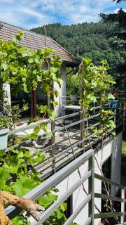 Luftkurort, Perle des Neckartals - Hirschhorn (Neckar) - 1