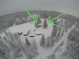 Waldidylli in Jämtland - Ruhe und Natur pur - 4