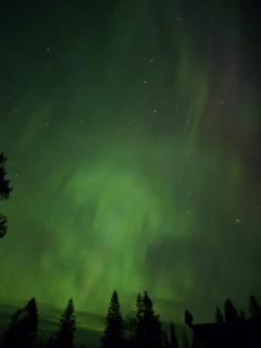 Waldidyll in Jämtland - Ruhe und Natur pur - 3
