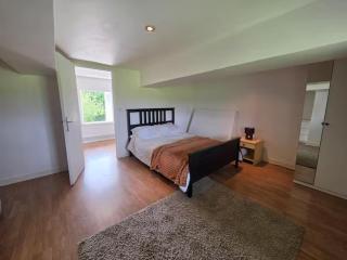House Sleeps 14 with Parking - 1