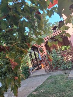 Casa Capelini - 3