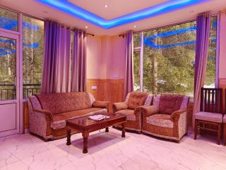 Hotel Piyush Regency - 7