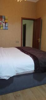 New Golden Nizami Hotel - 3