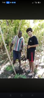 VATURUA Homestay - 3