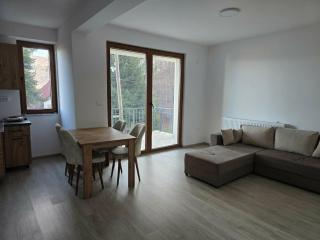 Pine Apartments Mavrovo - 6