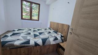 Pine Apartments Mavrovo - 5