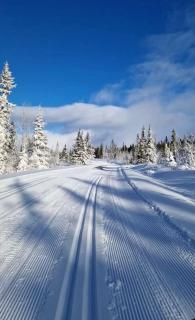Synnseter, Synnfjell - 2880 Nord-Torpa - 0