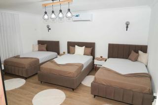MOUNTAIN Guest House - 1