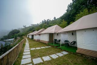 Skylight Retreat - Chail - 1
