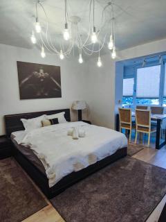 Cozy Studio - Centrul Civic - 8