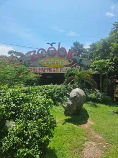 1BR Penthouse Own Kitchen, Jacuzzi, WiFi, Near Subic Bay - 7