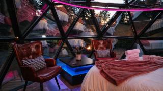 Glass Dome with Private Sauna and Forest Views - 5