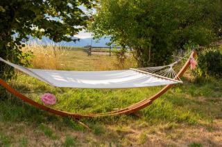 Farm & Chill Guesthouse - 2