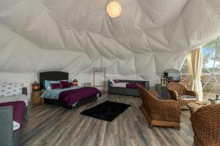 Tregroes Geodome Fishguard - 2