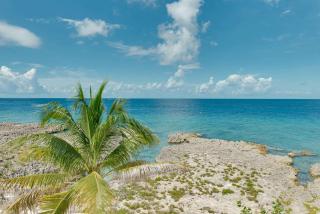 Luxury Condo with Ocean Views & Private Garden - 3