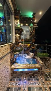 Lion house - 8