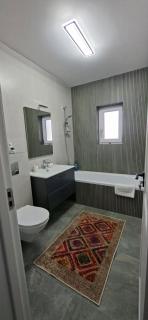 Gidal Apartments Near Mall Moldova - 4
