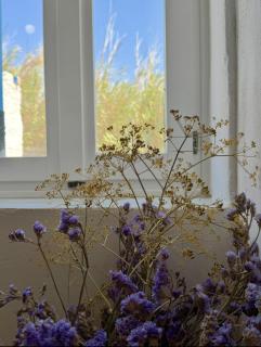 Paros Harmony - 1
