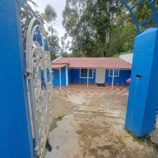 Happy Holidays devikulam munnar - 9