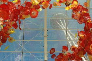 Holiday Inn Express & Suites Seattle Downtown - Lake Union by IHG - 5