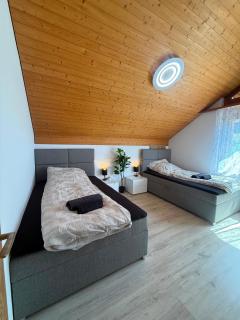 Ambiente Lake Thun - 3