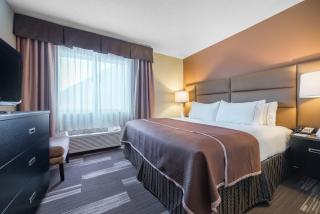 Holiday Inn Express Hotel & Suites St. Paul - Woodbury by IHG - 3