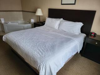 Holiday Inn Express Hotel & Suites Tipp City by IHG - 4