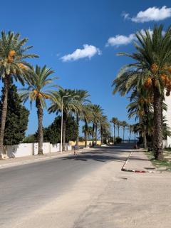 Modern apartment in Mahdia Beach within a 10-minute walk - 5
