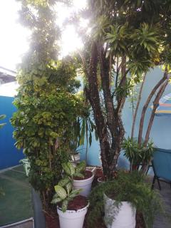 CTV Woodbrook Guest Accommodation - 2