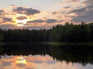 Blue Jay Cabin - 9