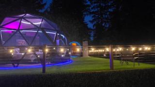 Glass Dome with Private Sauna and Forest Views - 4