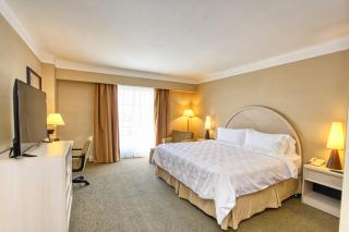 Holiday Inn Leon - Poliforum by IHG - 8