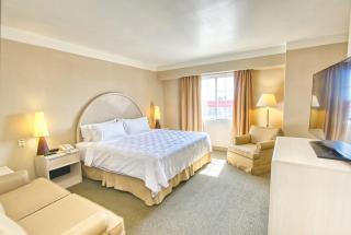 Holiday Inn Leon - Poliforum by IHG - 7
