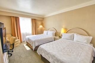 Holiday Inn Leon - Poliforum by IHG - 6