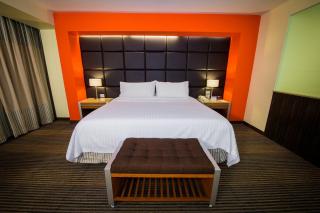Holiday Inn Mexico City-Plaza Universidad by IHG - 9