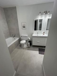The BEST View Huge 3B 2B Apt w 2 Parking and Locker - 4