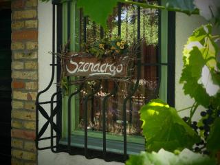 Szendergő - Apartman Hajós pincefalu - 1