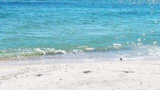Sandy Beach Days Saltwater Poolside Nights - 8