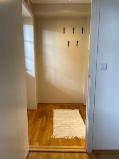 Bright and spacious 2-room apartment in Larvik - 5