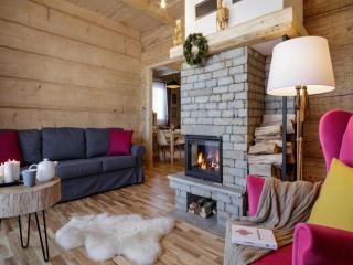 Comfortable holiday home in a mountain style - 0