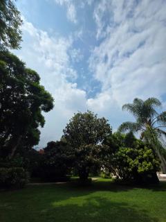 Cygnus Residence - 3