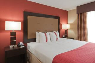 Holiday Inn Hotel & Suites Lima by IHG - 8