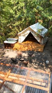 Under the Cedars Glamping Experience with Hot Tub - 0