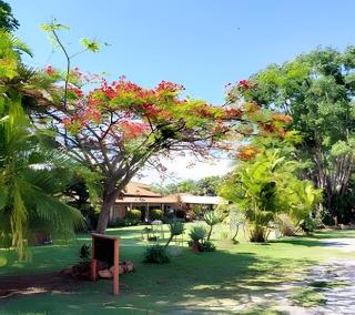 Rocinha Santa Rita casa de campo em Brasília - 7