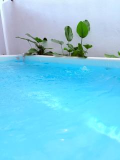 Huwayna Private Pool Homestay M U S L I M sahaja - 9