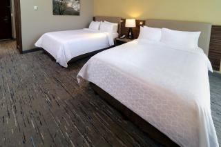 Holiday Inn Express & Suites Monterrey Valle by IHG - 6