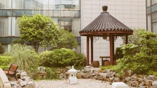 Holiday Inn Nanjing Xuanwu Lake by IHG - 9