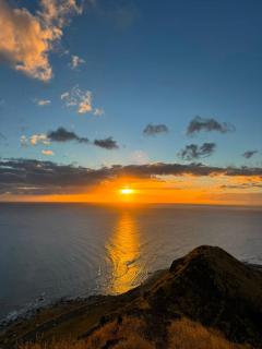 Kalo Homes - Makaha Valley Oasis - 9