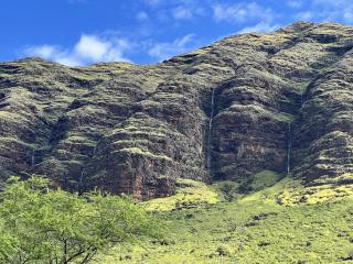 Kalo Homes - Makaha Valley Oasis - 8